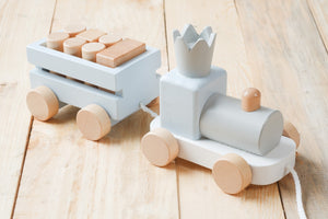 Organic Wooden Toys Set